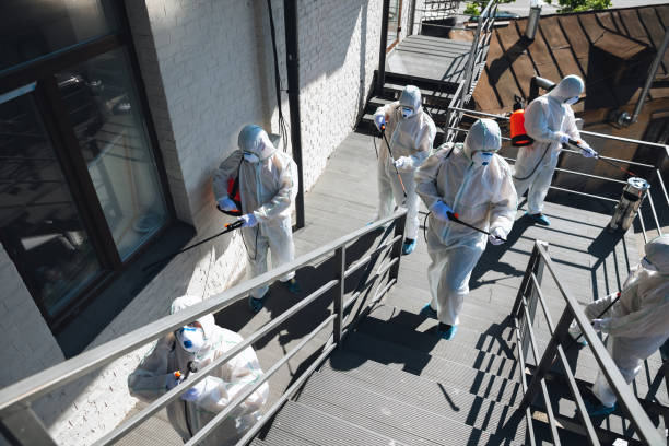 Asbestos and Lead Testing During Mold Inspection in Bastrop, TX