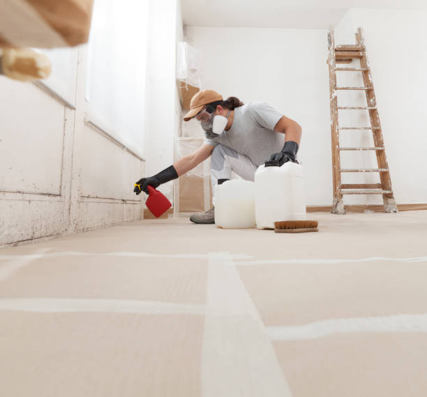Mold Documentation for Insurance Claims in Bastrop, TX